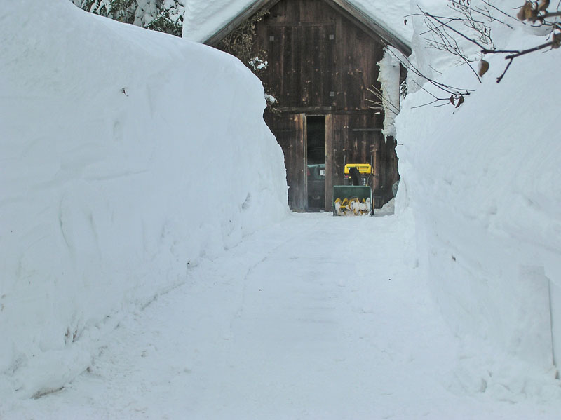 2005.02.04_Ortskern (124)