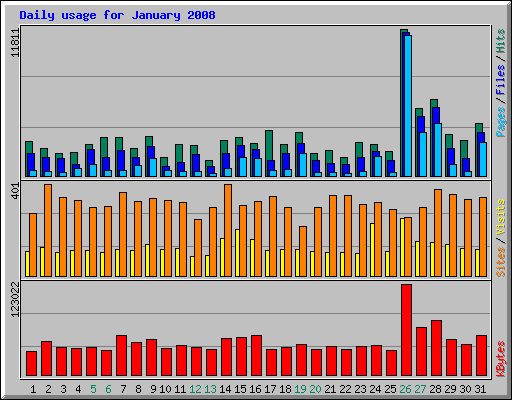 Daily usage for January 2008