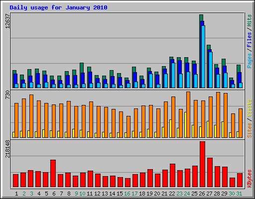 Daily usage for January 2010