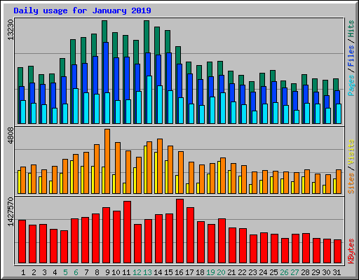 Daily usage for January 2019