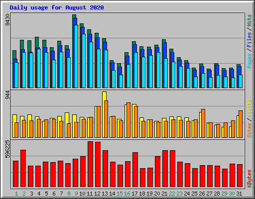 Daily usage for August 2020