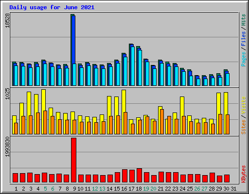 Daily usage for June 2021