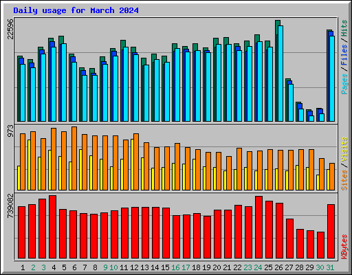Daily usage for March 2024