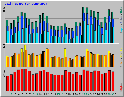 Daily usage for June 2024