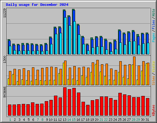 Daily usage for December 2024