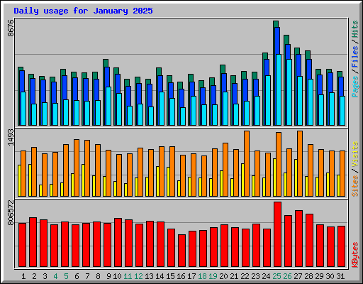 Daily usage for January 2025