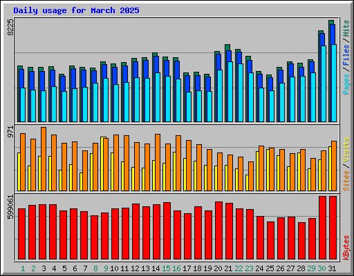 Daily usage for March 2025
