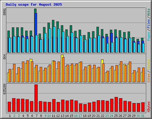 Daily usage for August 2025