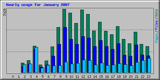 Hourly usage for January 2007