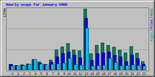 Hourly usage for January 2008