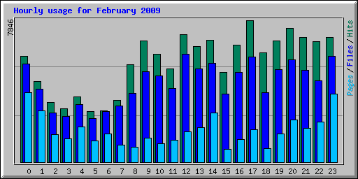 Hourly usage for February 2009