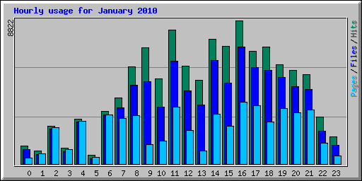 Hourly usage for January 2010