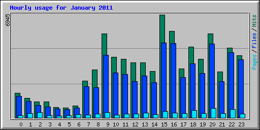 Hourly usage for January 2011