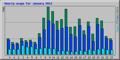 Hourly usage for January 2012