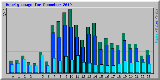 Hourly usage for December 2012