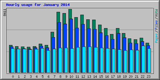 Hourly usage for January 2014