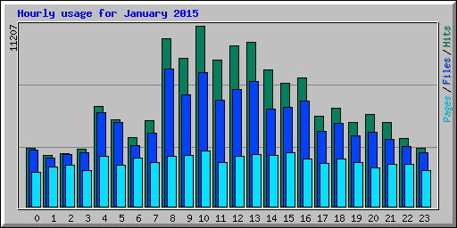 Hourly usage for January 2015