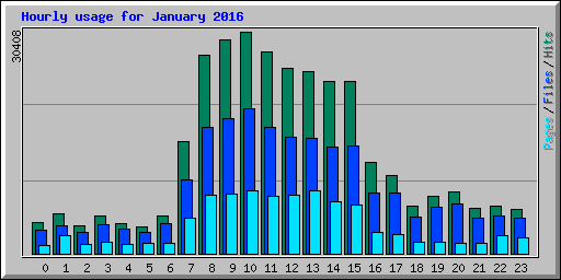 Hourly usage for January 2016