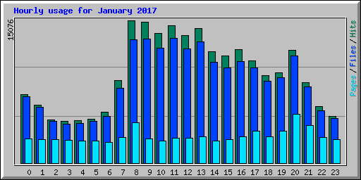 Hourly usage for January 2017