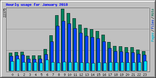 Hourly usage for January 2018