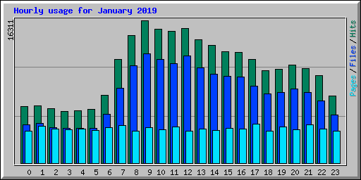 Hourly usage for January 2019
