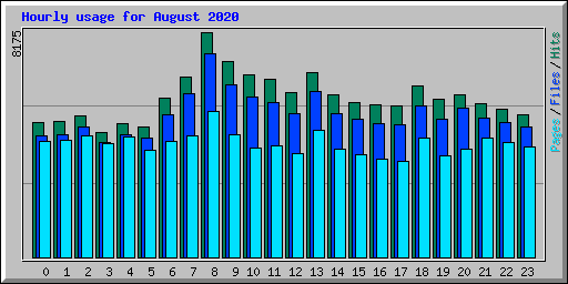 Hourly usage for August 2020