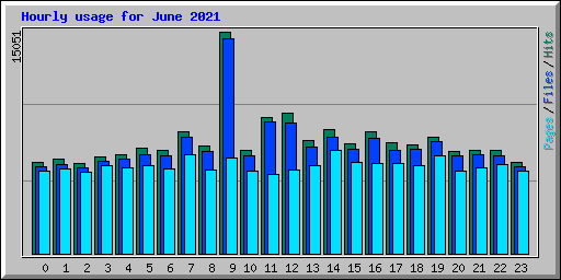 Hourly usage for June 2021