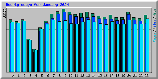 Hourly usage for January 2024