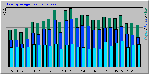 Hourly usage for June 2024