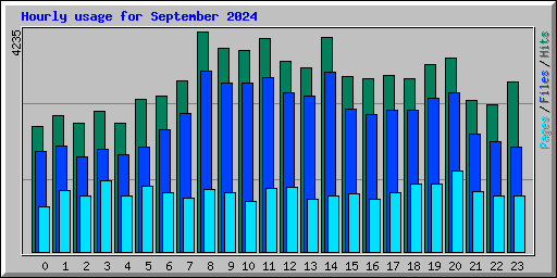 Hourly usage for September 2024