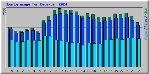 Hourly usage for December 2024