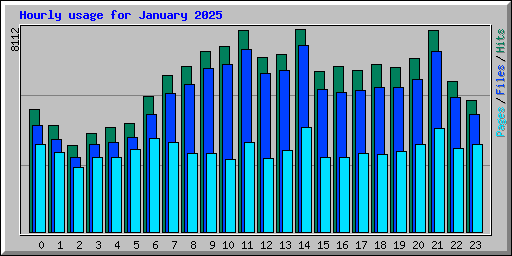 Hourly usage for January 2025
