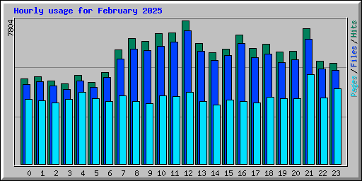 Hourly usage for February 2025