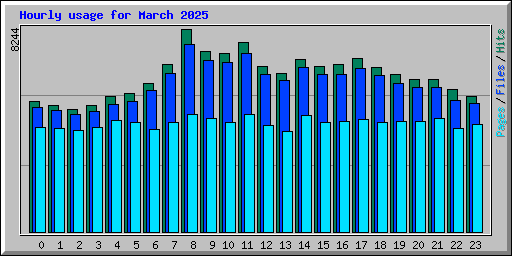 Hourly usage for March 2025