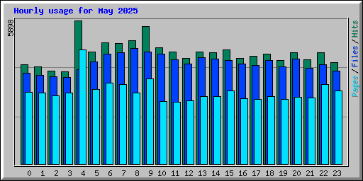 Hourly usage for May 2025