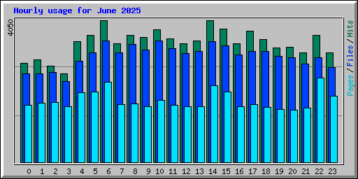 Hourly usage for June 2025