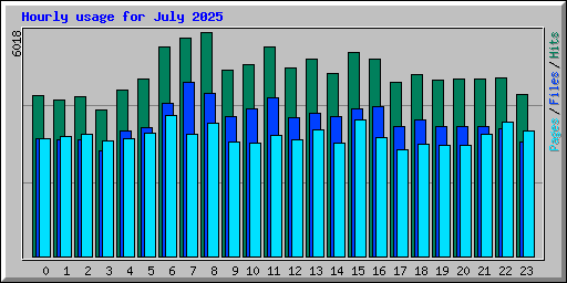 Hourly usage for July 2025