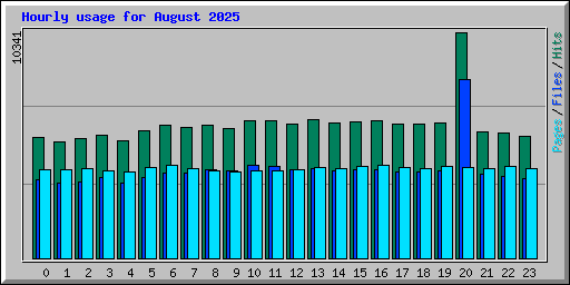 Hourly usage for August 2025