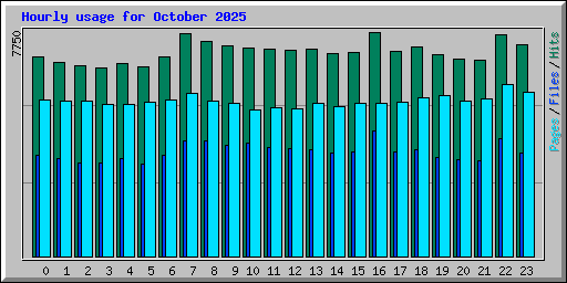 Hourly usage for October 2025