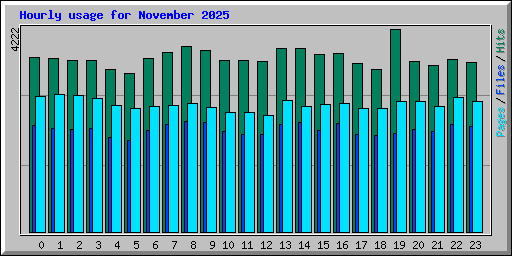 Hourly usage for November 2025