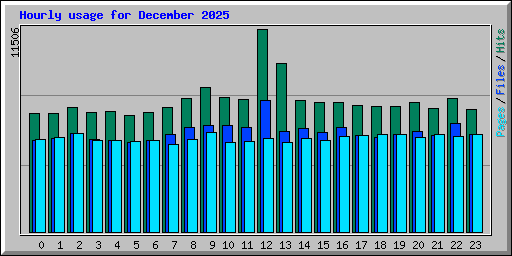 Hourly usage for December 2025