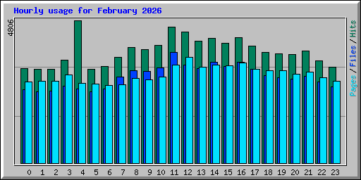 Hourly usage for February 2026