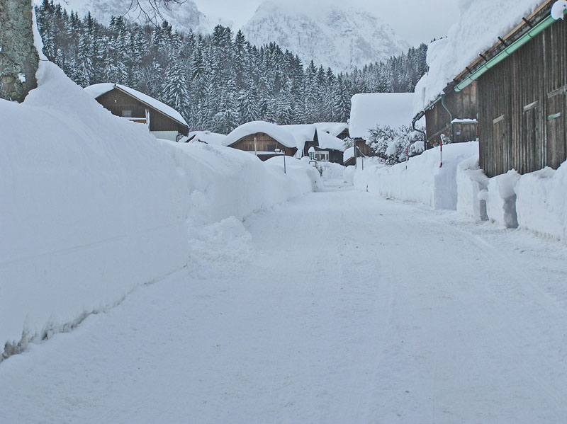 2005.02.04_Heimweg (103)