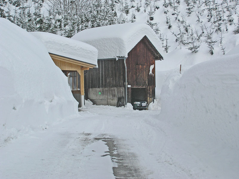 2005.02.04_Heimweg (109)