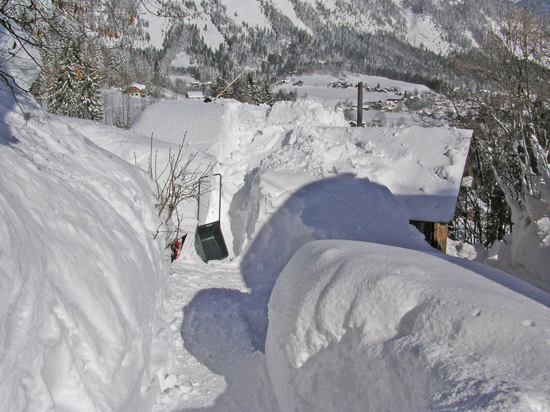 2005.02.05_RundUmsHaus2 (112)