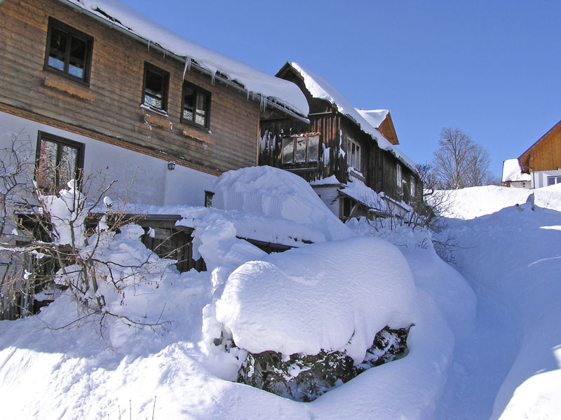 2005.02.05_RundUmsHaus2 (114)